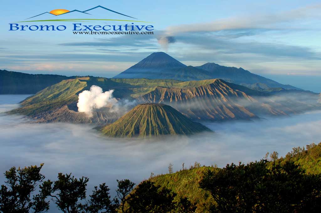 bromo tour package